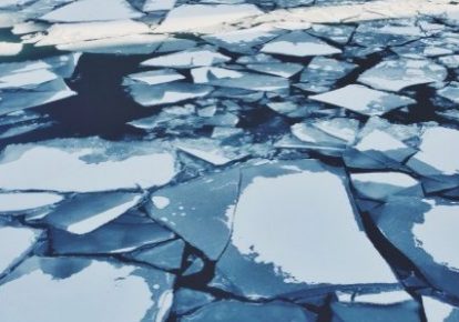 Fragmented E-Commerce: Anomaly, Or the New Normal? - Blog Shoppingfeed